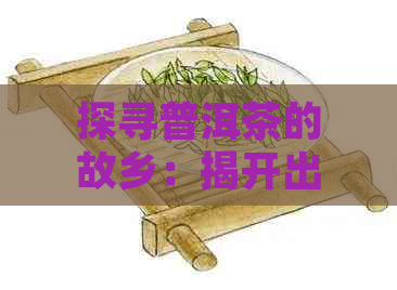 探寻普洱茶的故乡：揭开出名茶山的神秘面纱