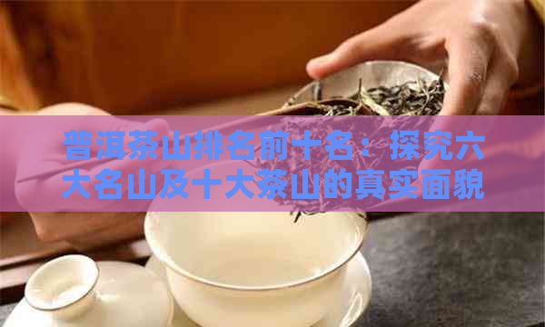 普洱茶山排名前十名：探究六大名山及十大茶山的真实面貌