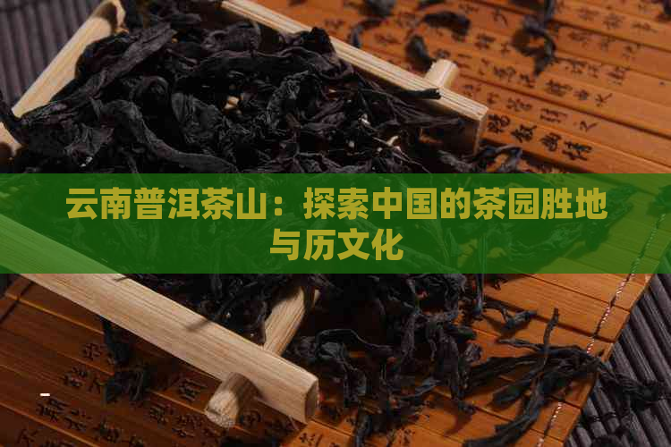 云南普洱茶山：探索中国的茶园胜地与历文化