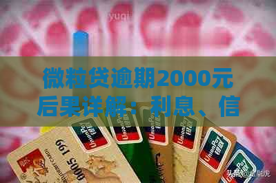 微粒贷逾期2000元后果详解：利息、信用记录、罚息等全面分析