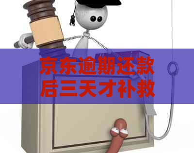 京东逾期还款后三天才补救：再借款的可行性与安全性分析