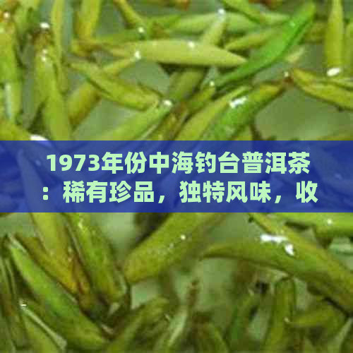 1973年份中海钓台普洱茶：稀有珍品，独特风味，收藏投资价值高