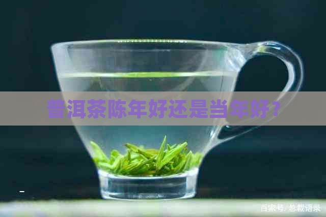 普洱茶陈年好还是当年好？