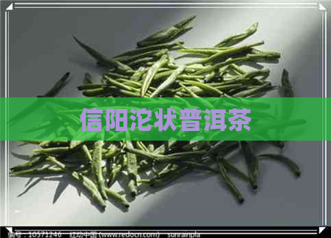 信阳沱状普洱茶