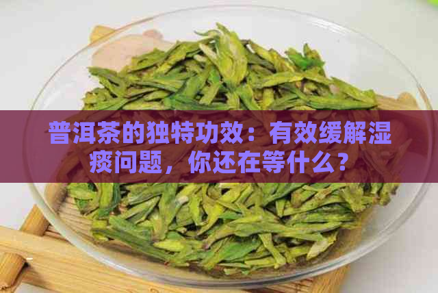 普洱茶的独特功效：有效缓解湿痰问题，你还在等什么？