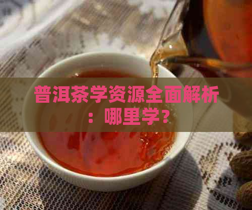 普洱茶学资源全面解析：哪里学？