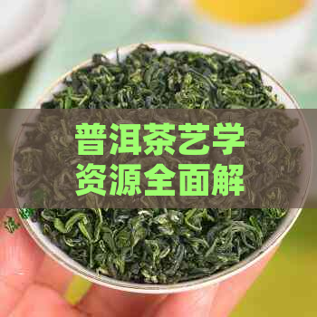 普洱茶艺学资源全面解析：哪里可以学？如何选择？