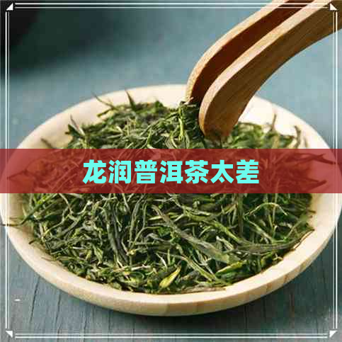 龙润普洱茶太差