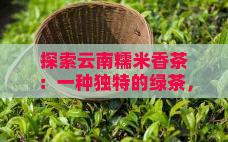 探索云南糯米香茶：一种独特的绿茶，隐藏的普洱茶魅力与健功效