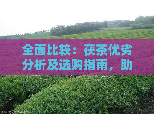 全面比较：茯茶优劣分析及选购指南，助您轻松找到优质茯茶