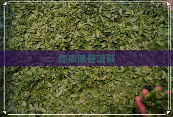 昆明陈普洱茶