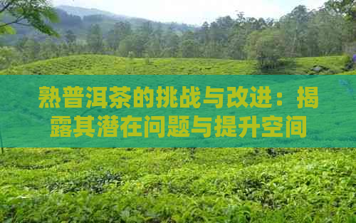 熟普洱茶的挑战与改进：揭露其潜在问题与提升空间