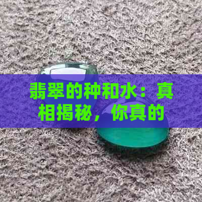 翡翠的种和水：真相揭秘，你真的了解吗？