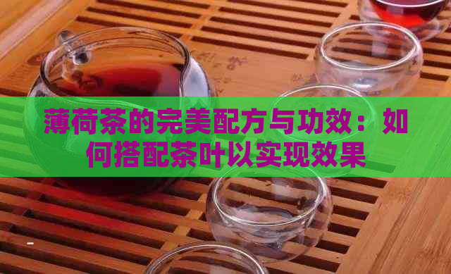 薄荷茶的完美配方与功效：如何搭配茶叶以实现效果