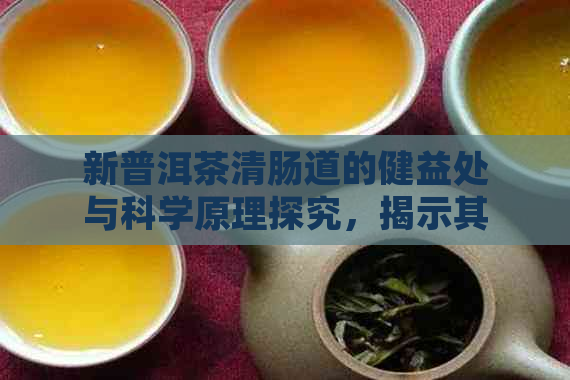 新普洱茶清肠道的健益处与科学原理探究，揭示其独特功效