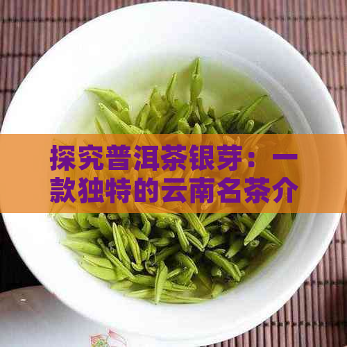 探究普洱茶银芽：一款独特的云南名茶介绍与品鉴