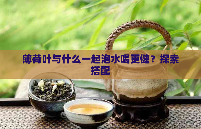 薄荷叶与什么一起泡水喝更健？探索搭配