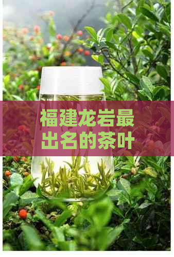 福建龙岩最出名的茶叶是什么？