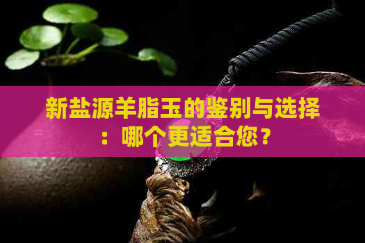 新盐源羊脂玉的鉴别与选择：哪个更适合您？