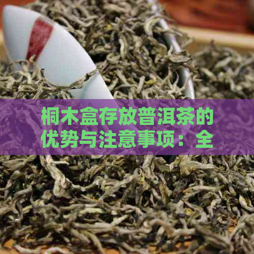 桐木盒存放普洱茶的优势与注意事项：全面了解普洱茶的存方式