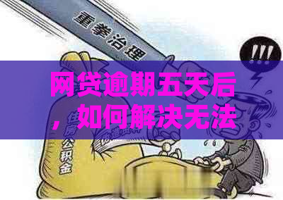 网贷逾期五天后，如何解决无法申请其他贷款的问题？