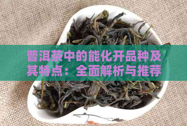 普洱茶中的能化开品种及其特点：全面解析与推荐