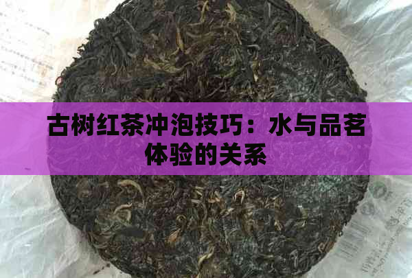 古树红茶冲泡技巧：水与品茗体验的关系