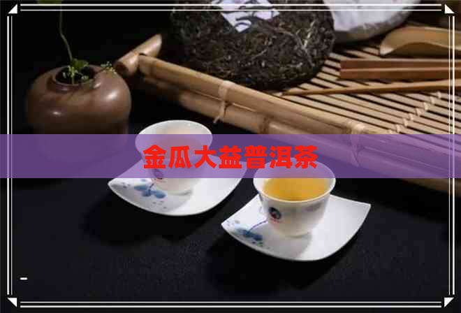 金瓜大益普洱茶