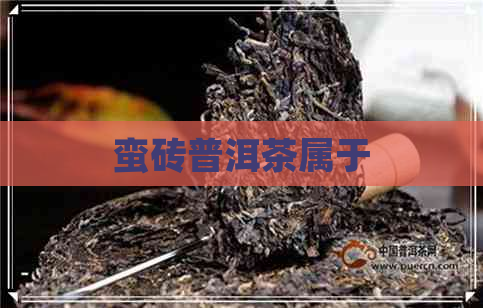 蛮砖普洱茶属于