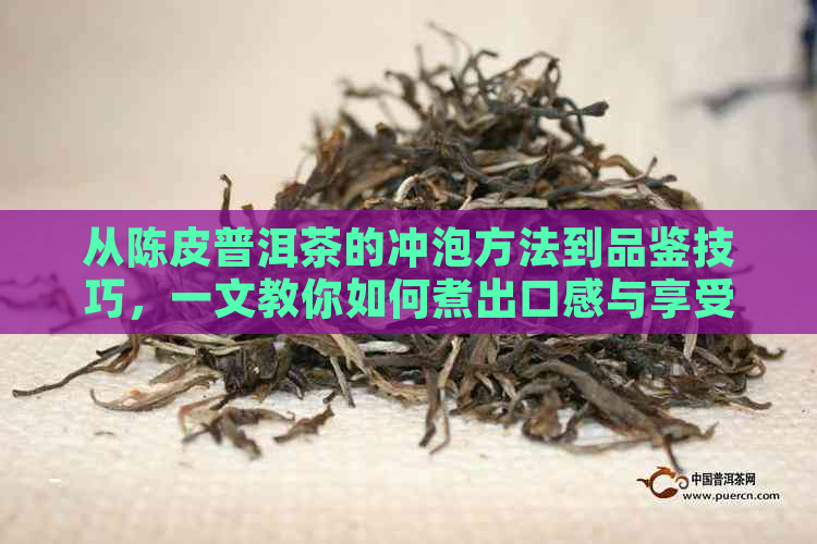 从陈皮普洱茶的冲泡方法到品鉴技巧，一文教你如何煮出口感与享受慢时光