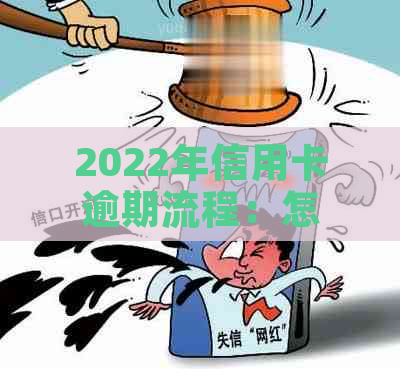 2022年信用卡逾期流程：怎么办，最新标准及政策解读