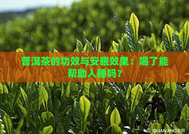 普洱茶的功效与安眠效果：喝了能帮助入睡吗？