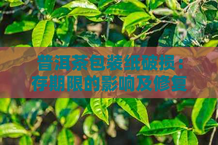 普洱茶包装纸破损：存期限的影响及修复方法