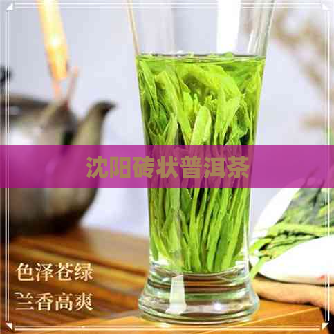 沈阳砖状普洱茶