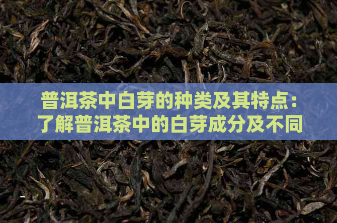 普洱茶中白芽的种类及其特点：了解普洱茶中的白芽成分及不同种类茶叶的特点