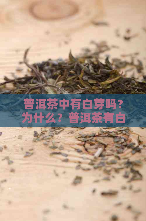 普洱茶中有白芽吗？为什么？普洱茶有白色的吗？普洱茶里有白茶吗？