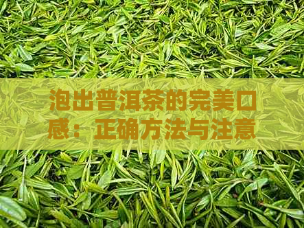 泡出普洱茶的完美口感：正确方法与注意事项