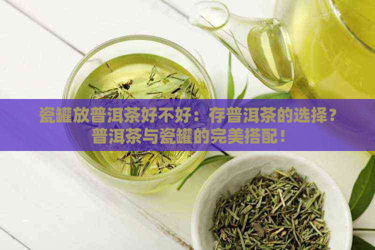 瓷罐放普洱茶好不好：存普洱茶的选择？普洱茶与瓷罐的完美搭配！