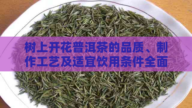 树上开花普洱茶的品质、制作工艺及适宜饮用条件全面解析，让您喝得安心放心