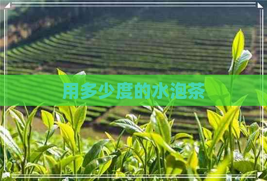 用多少度的水泡茶