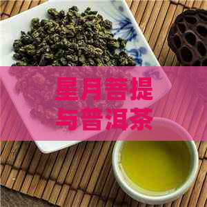 星月菩提与普洱茶搭配使用：注意事项与技巧，以确保效果和安全性