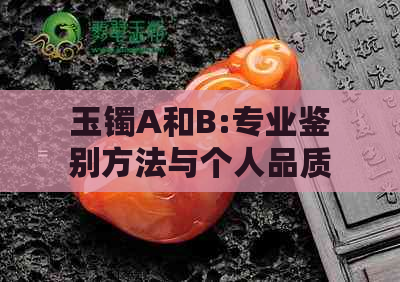 玉镯A和B:专业鉴别方法与个人品质选择的思考