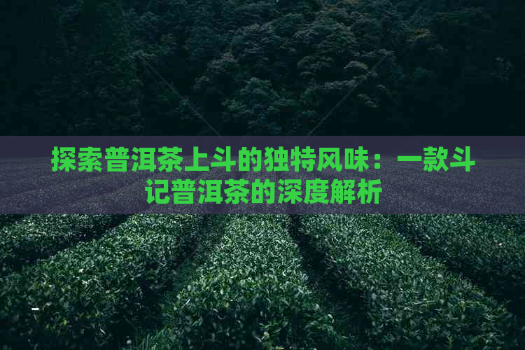 探索普洱茶上斗的独特风味：一款斗记普洱茶的深度解析