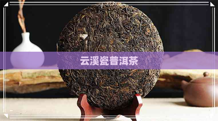 云溪瓷普洱茶