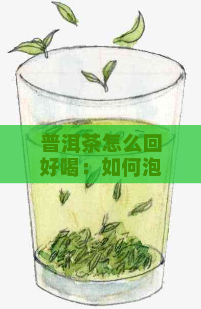 普洱茶怎么回好喝：如何泡出更美味的普洱茶？