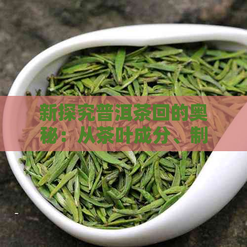 新探究普洱茶回的奥秘：从茶叶成分、制作工艺到品饮技巧的全面解析