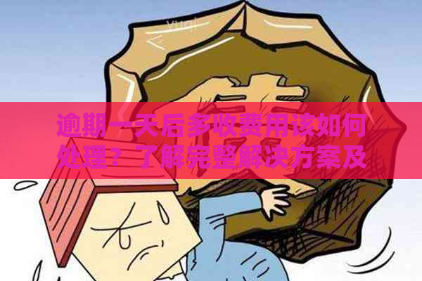 逾期一天后多收费用该如何处理？了解完整解决方案及应对策略