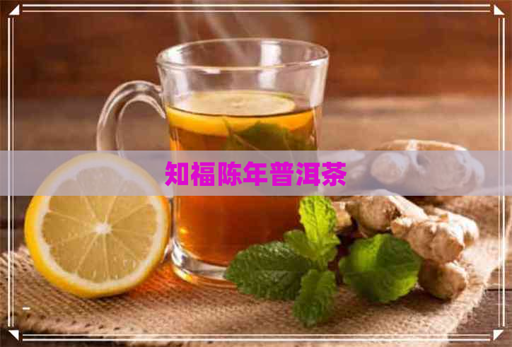 知福陈年普洱茶