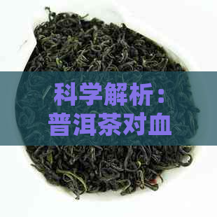 科学解析：普洱茶对血压的影响及其潜在风险