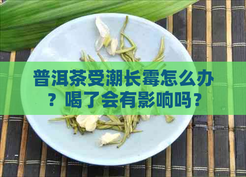 普洱茶受潮长霉怎么办？喝了会有影响吗？